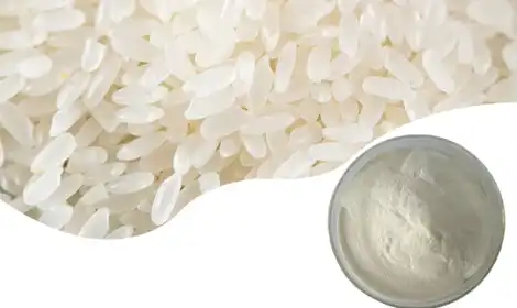 What Does Hydrolyzed Rice Protein Powder Do For Your Hair?